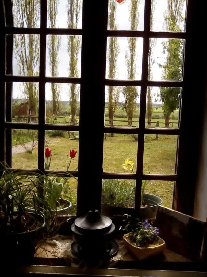 Bed and Breakfast La Ferme Des Vignes Hotot-en-Auge Exterior foto